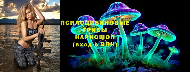 Галлюциногенные грибы Magic Shrooms  KRAKEN сайт  Бирск 